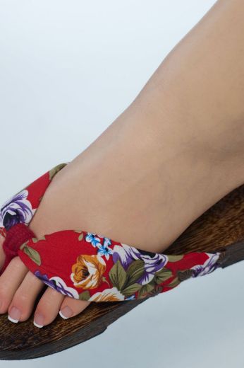 Picture of EX Doll Ukiyo-e 165cm S EVO - Ruoyi