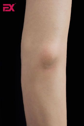 Picture of EX Doll Ukiyo-e 166cm S EVO - Krista