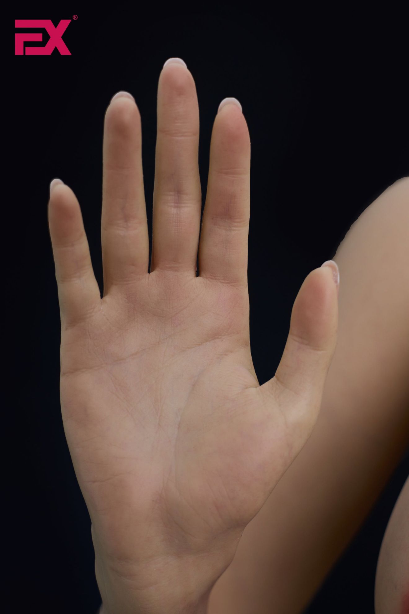 Picture of EX Doll Ukiyo-e 166cm S EVO - Krista