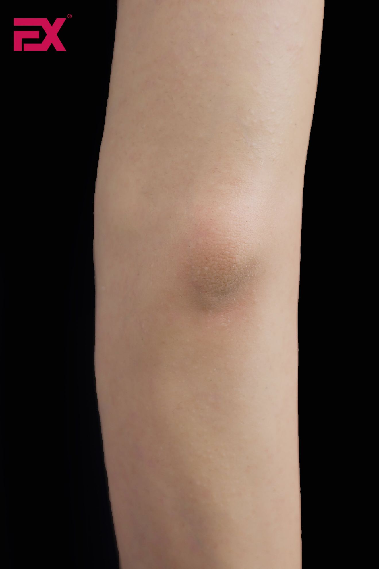 Picture of EX Doll Ukiyo-e 166cm S EVO - Krista