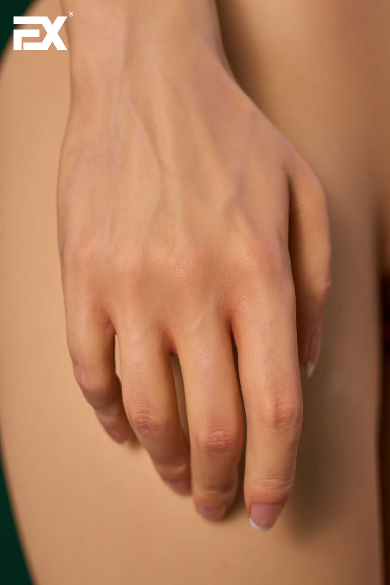 Picture of EX Doll Ukiyo-e 165cm S EVO - Kara