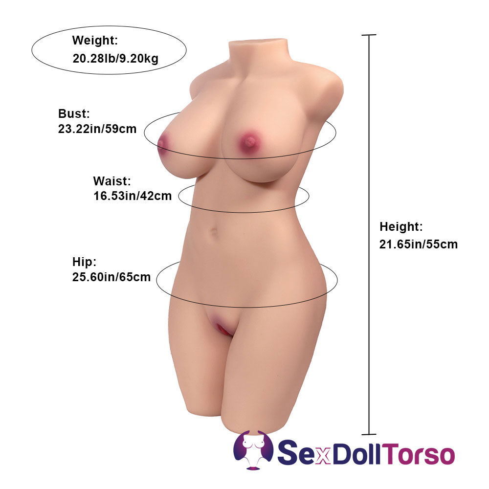 Picture of Torso Sex Doll Shailene: (20.28LB) Curvy Lightweight 55cm Sex Doll Torso