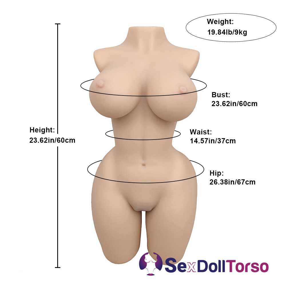 Picture of Torso Sex Doll Shailene: (20.28LB) Curvy Lightweight 55cm Sex Doll Torso