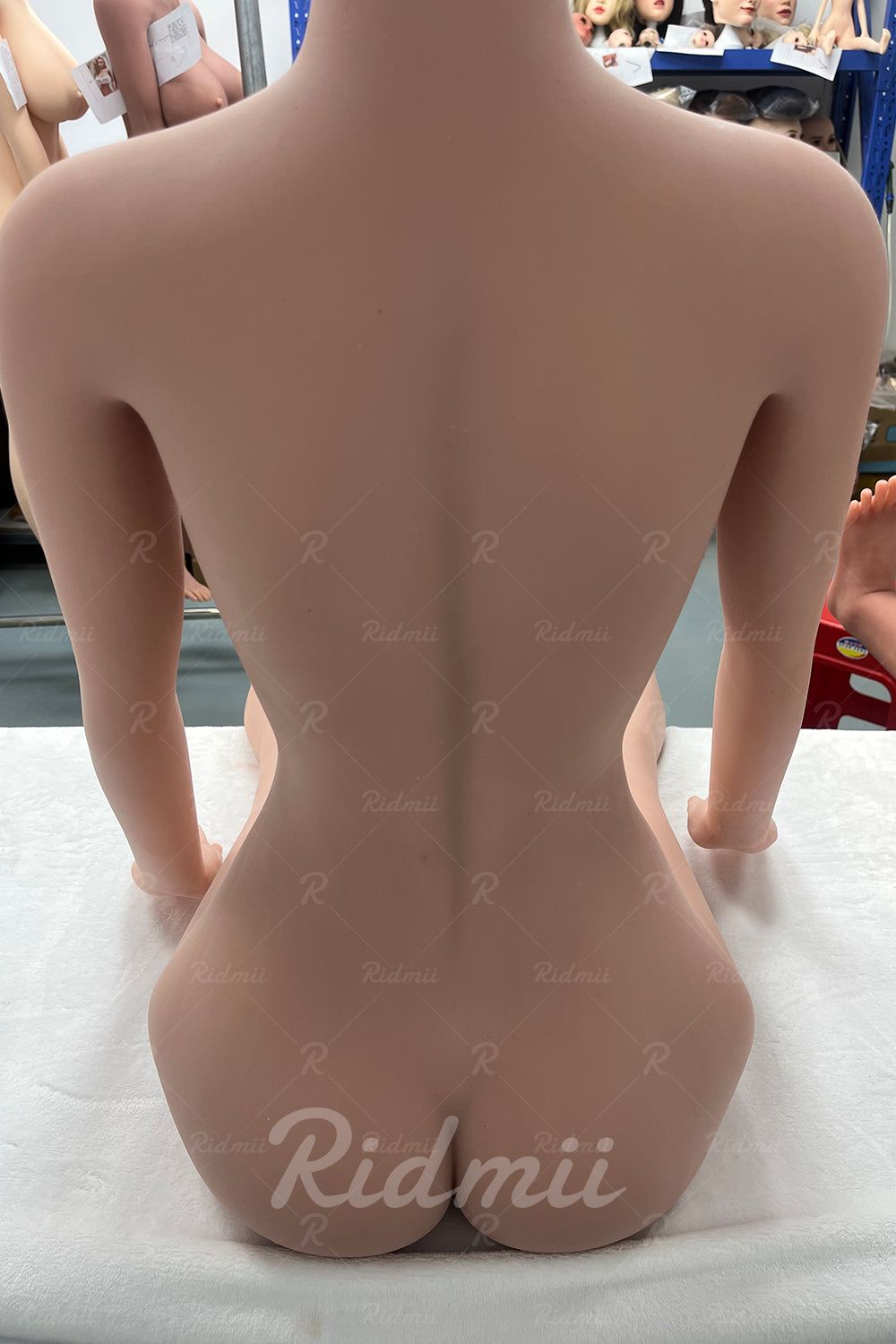 Picture of Ridmii Liza Plus Unique Design Silicone Head TPE Body Most Realistic Adult Sex Doll with ROS [In Stock | US Only]